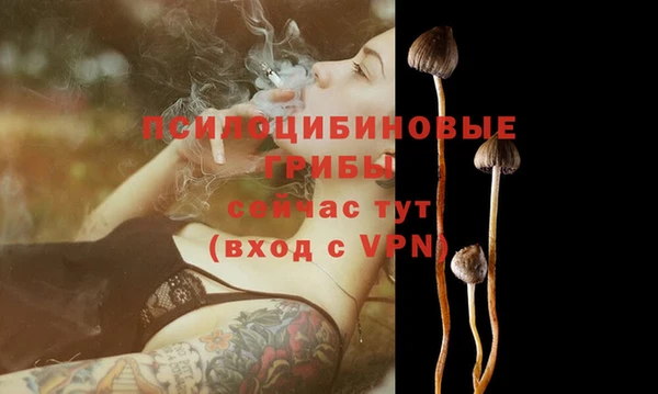 стаф Нязепетровск