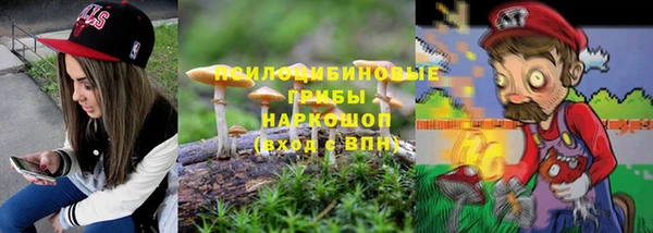 стаф Нязепетровск